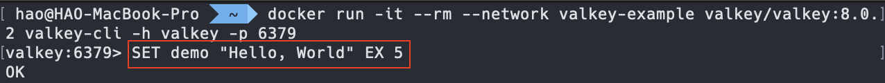 Valkey SET command